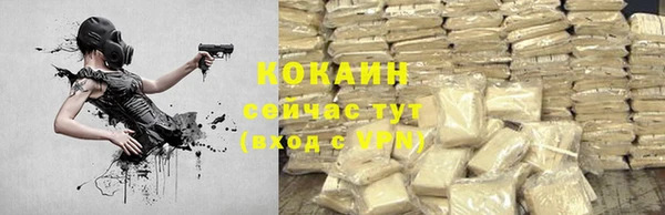 амф Богданович