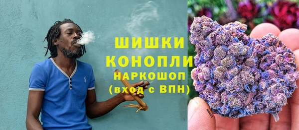 соль ск Бронницы