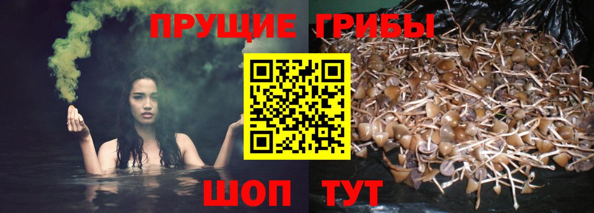 Псилоцибиновые грибы Magic Shrooms  Псилоцибиновые грибы прущие грибы  Славянск-на-Кубани  Вход с VPN 